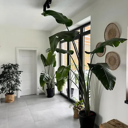 Ferienhaus Waabi *